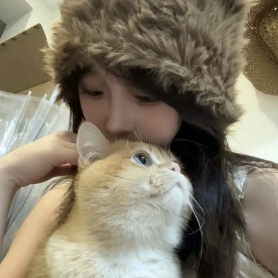 猎狐行动